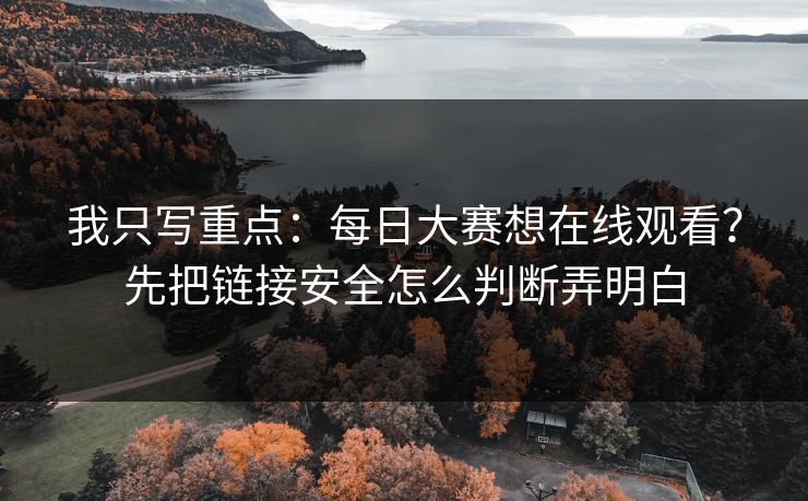 我只写重点：每日大赛想在线观看？先把链接安全怎么判断弄明白